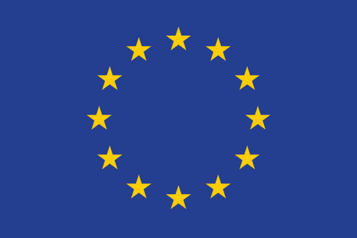 EU Logo