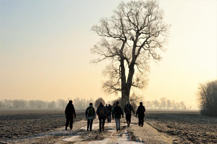 ©NF Czechia ©NF Czechia
