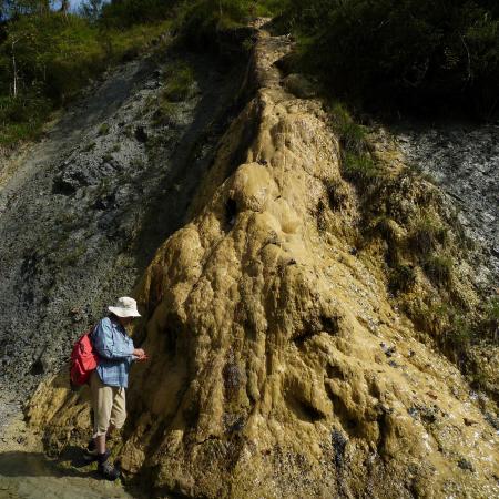 © Rudolf Pavuza: Zinkenbach, Salzburg; the search for lime tuff springs often brings surprises, this completely undocumented and hardly known spring suddenly appeared in front of us and created a "Yellowstone - Deja Vu".