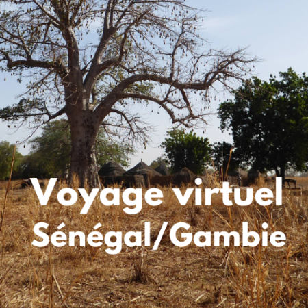Voyage virtuel Sénégal/Gambie ©Doris Banspach