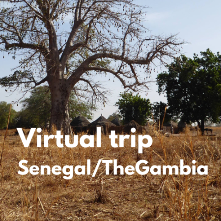 Virtual trip to Senegla/The Gambia ©Doris Banspach