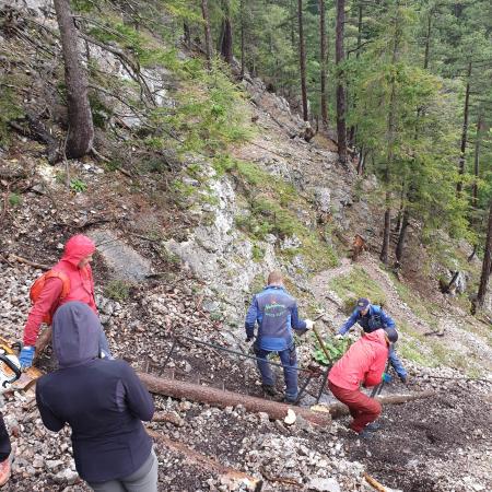 Der gefällte Baum wird in den Weg eingebaut