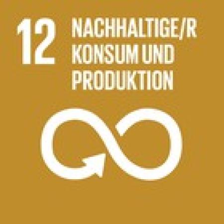 SDG 12 Nachhaltiger Konsum und Produktion