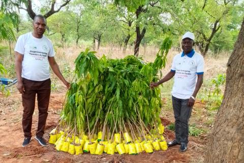 © Amis de la Nature Mali 